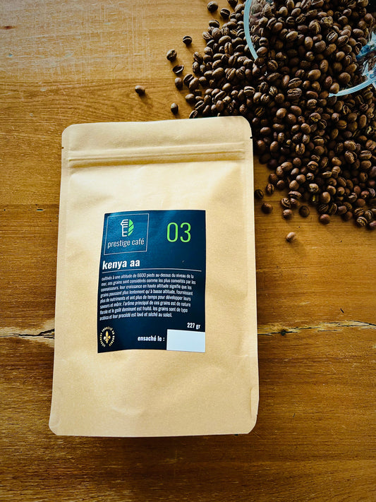 03 | kenya aa